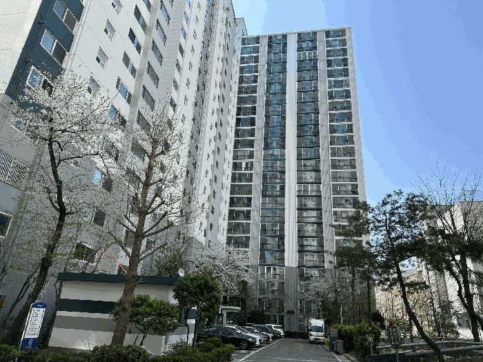 사진 05