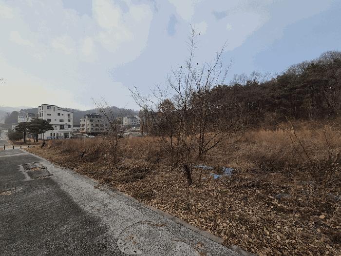 사진 03
