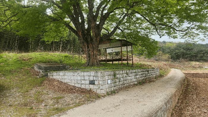 사진 03