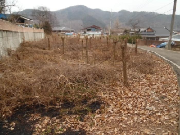 사진 07