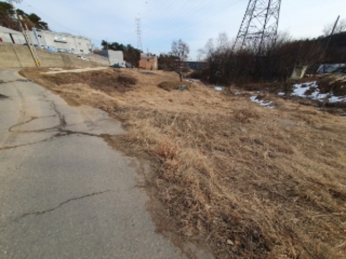 사진 08