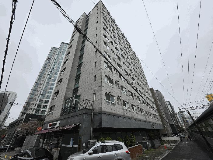 사진 01