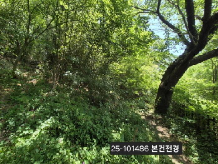 사진 02