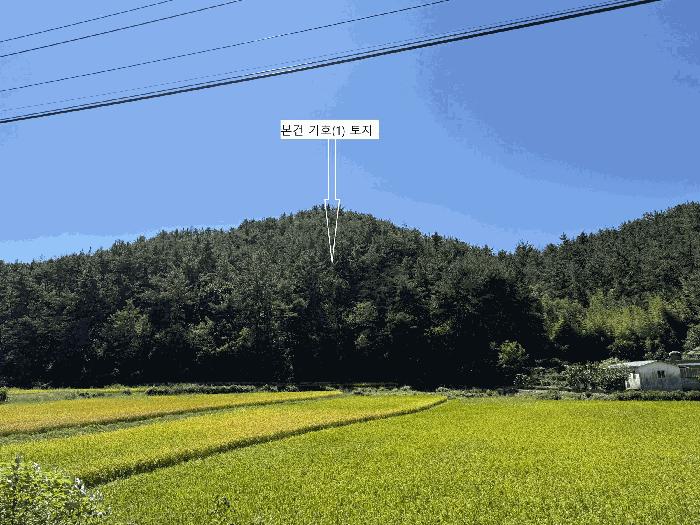 사진 03
