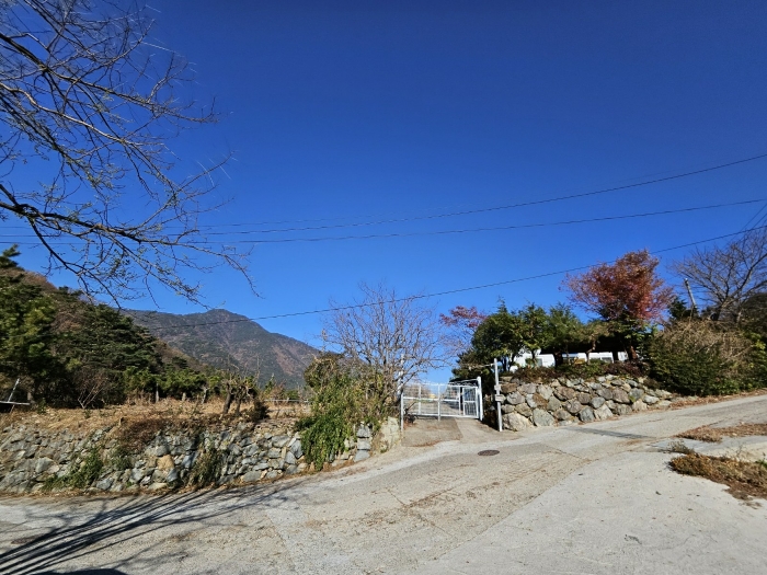 사진 08