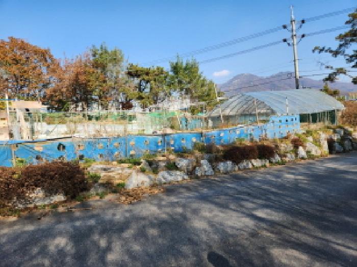 사진 04