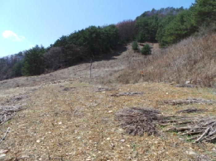 사진 04