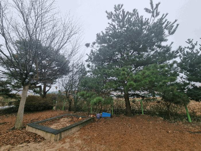 사진 08