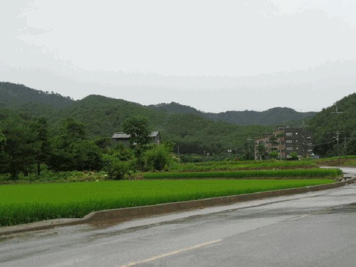 사진 07