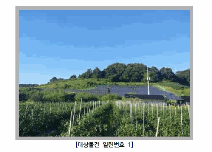 사진 01