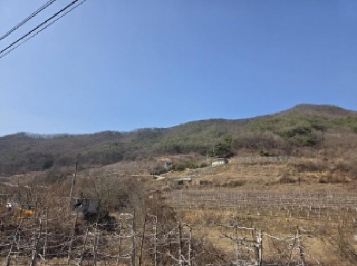 사진 08