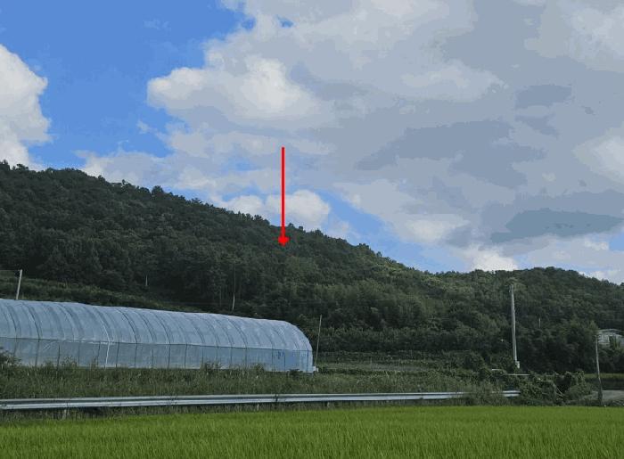 사진 02