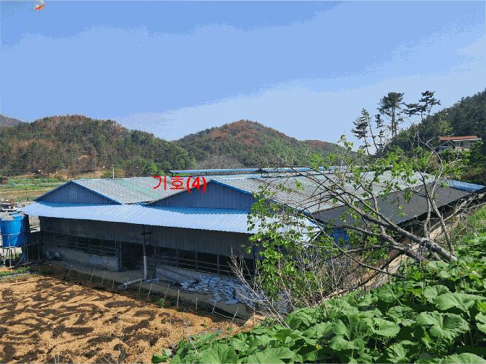 사진 02