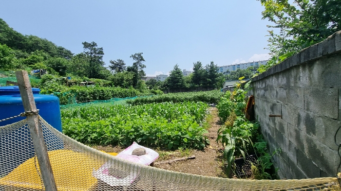 사진 04