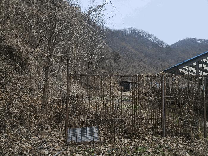 사진 07