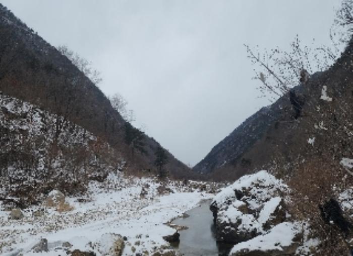 사진 06