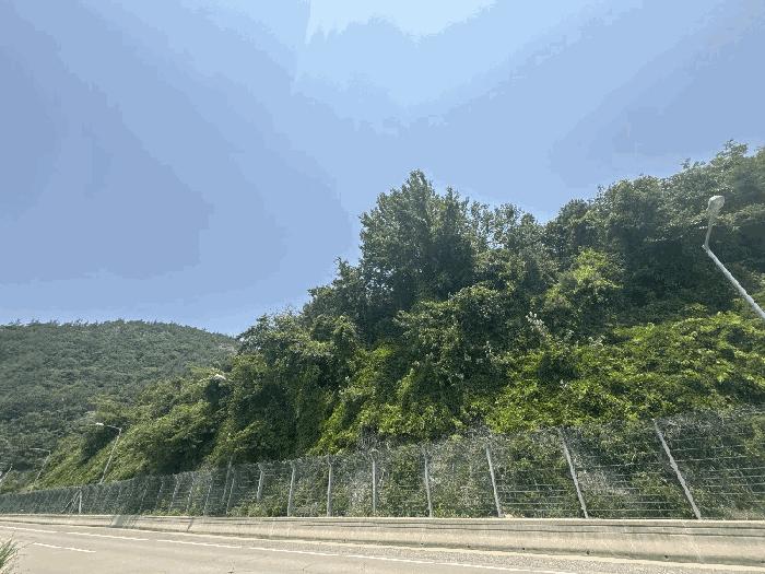 사진 03