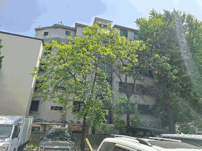 사진 06
