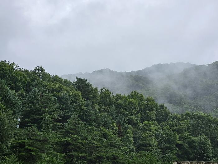 사진 02