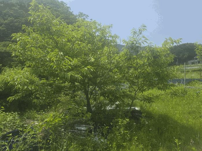 사진 02