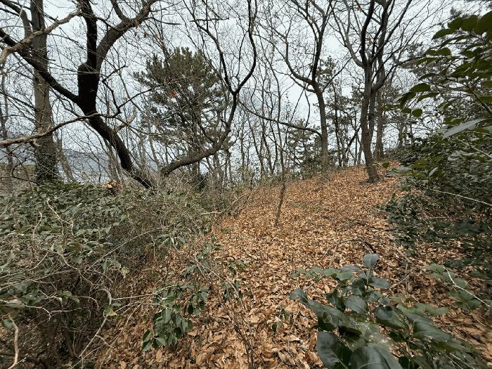 사진 08