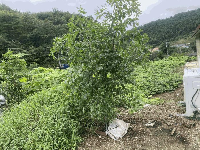 사진 08