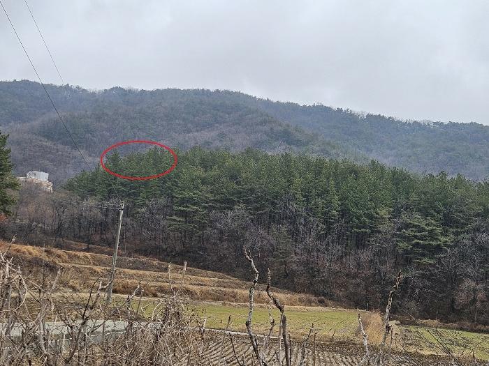 사진 04