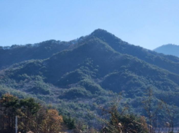 사진 05