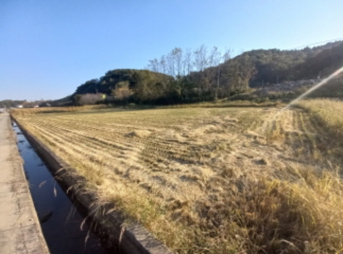 사진 08