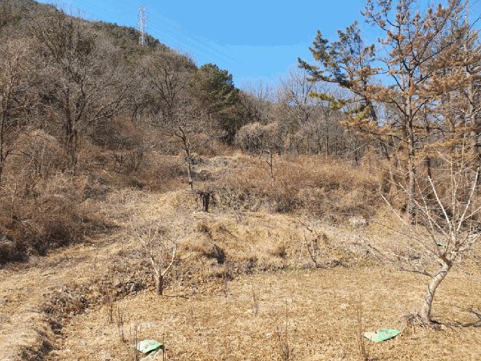사진 04