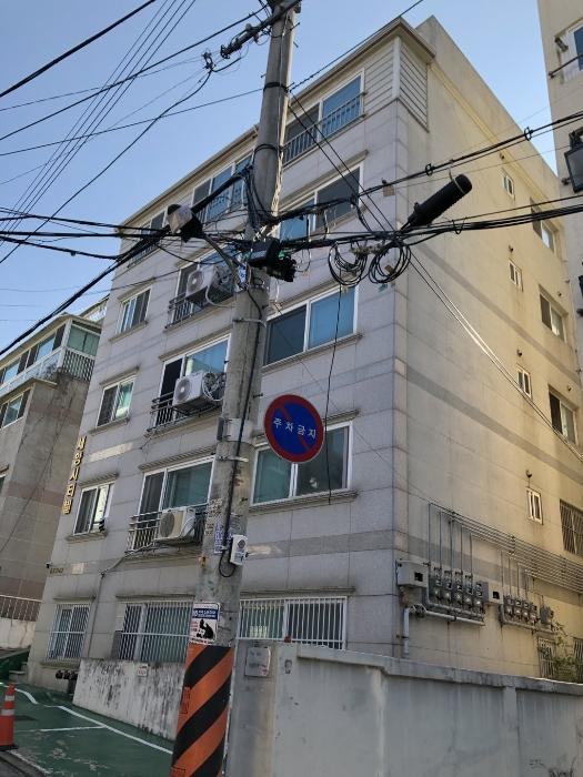 사진 03