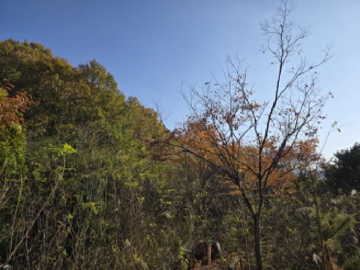 사진 02