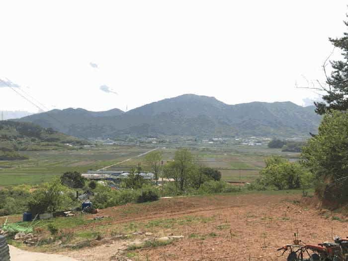 사진 03