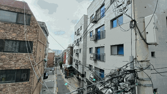 사진 08