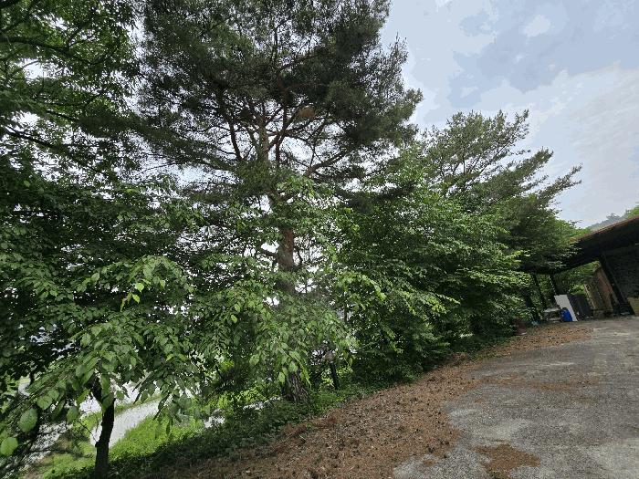 사진 04