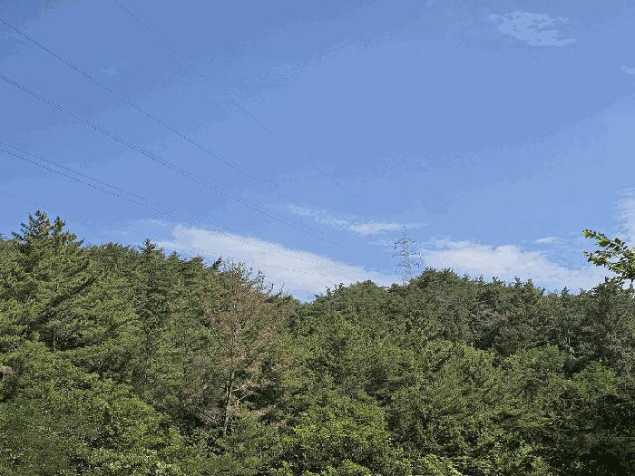 사진 03
