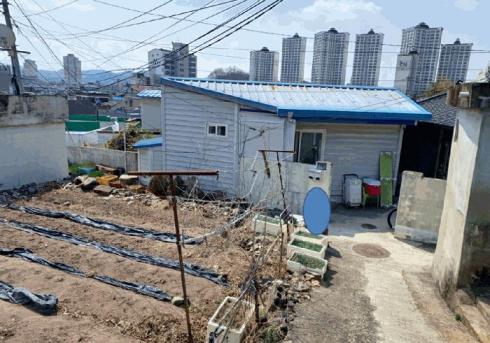 사진 01
