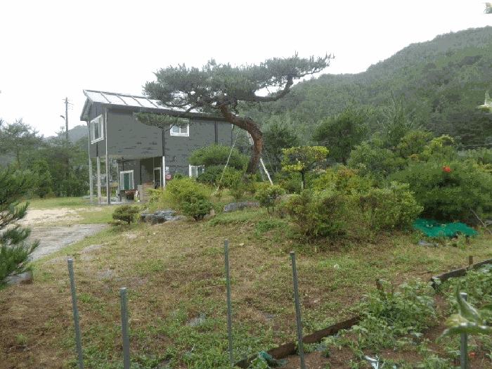 사진 05