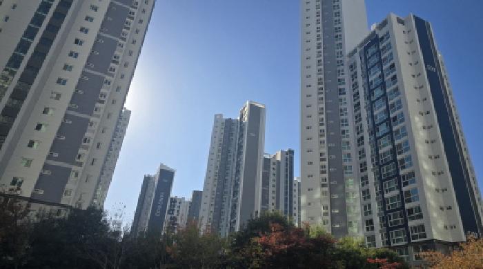 사진 06