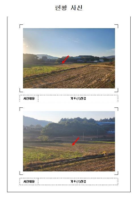 사진 03