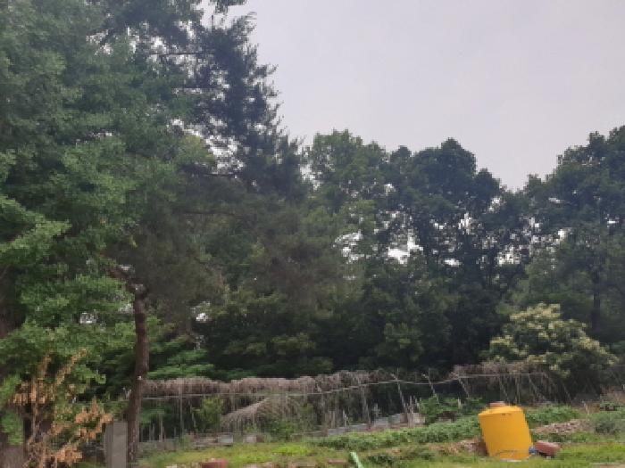 사진 06