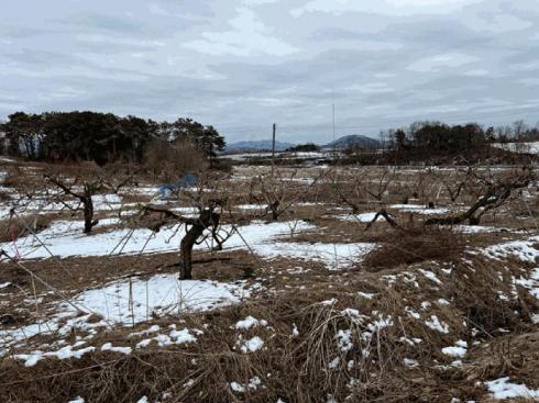 사진 02