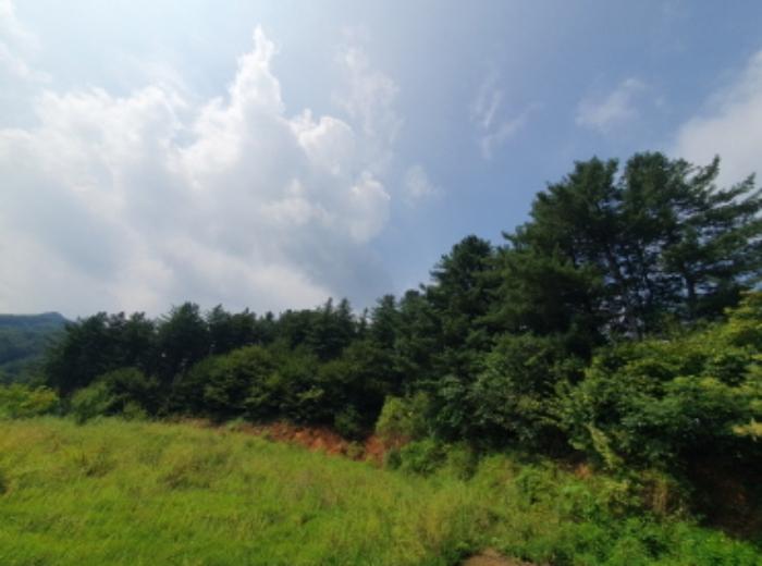 사진 05