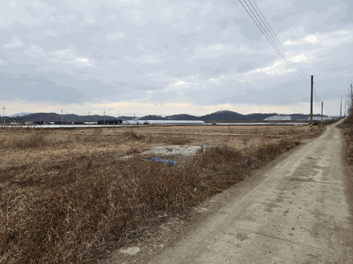 사진 08