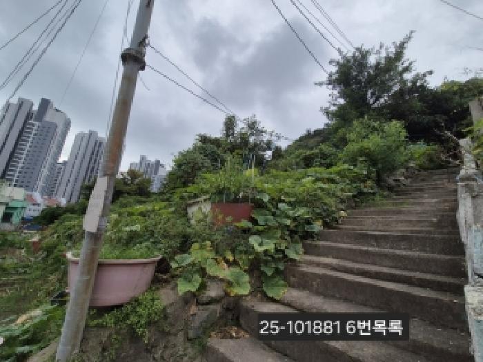 사진 02