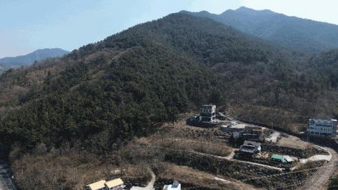 사진 01