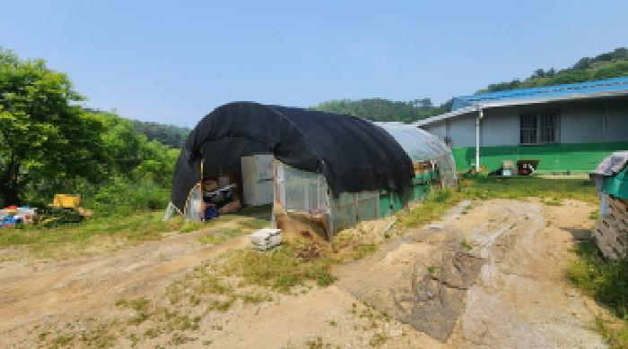 사진 08