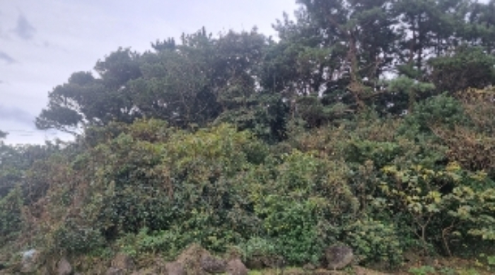 사진 03