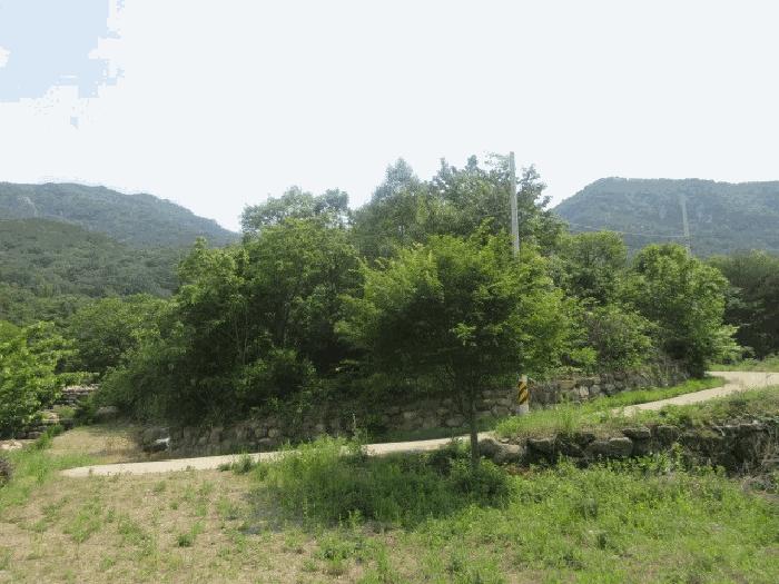 사진 04