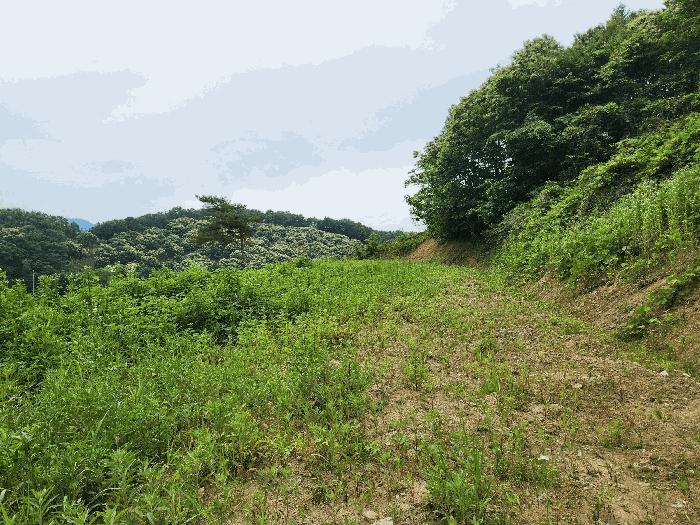 사진 07